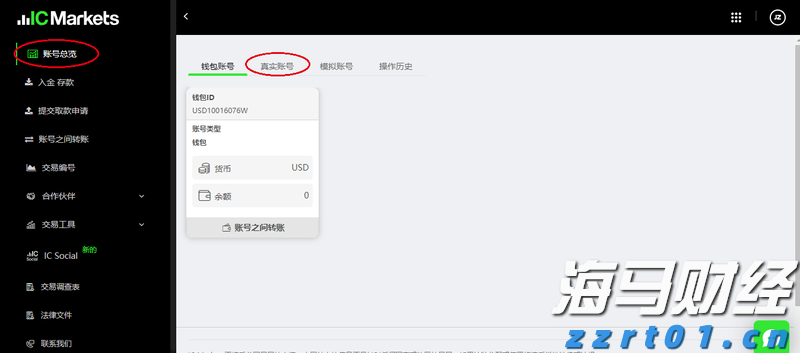港北区：特色产业链点燃新质生产力引擎